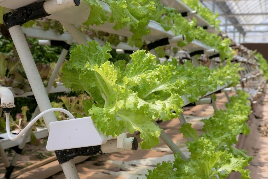hydroponics vertical farming systems